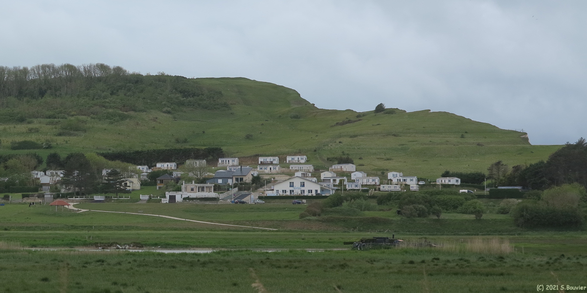 Criel sur Mer (Prés salés)