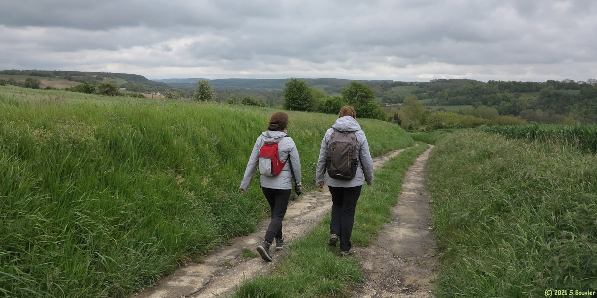 Saint Martin le Gaillard (Chemin 1)