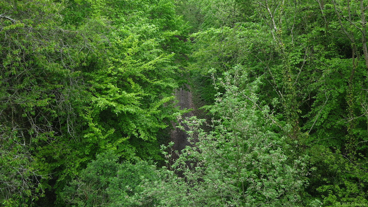 Saint Martin le Gaillard (Chemin 2)