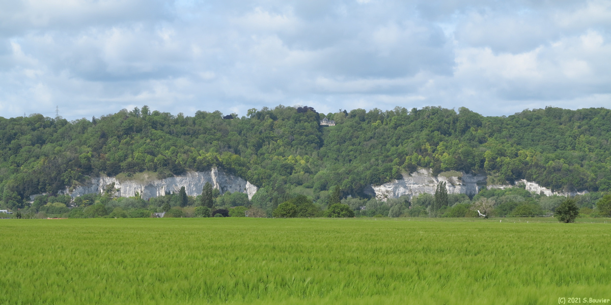 Caumont (Falaises)
