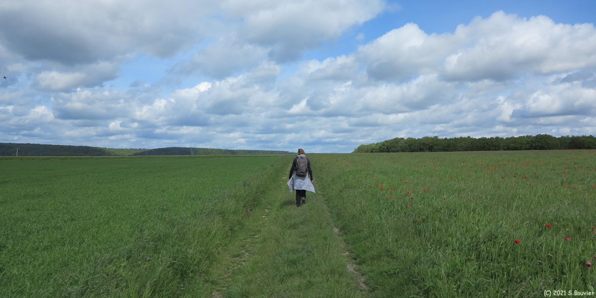 Sahurs (Chemin)
