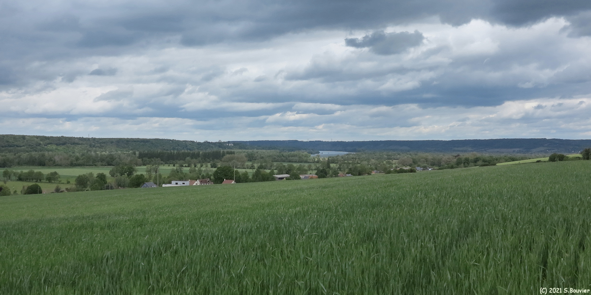 Saint Pierre de Manneville (Vallée)