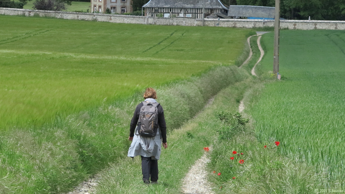 Saint Pierre de Manneville (Chemin 3)