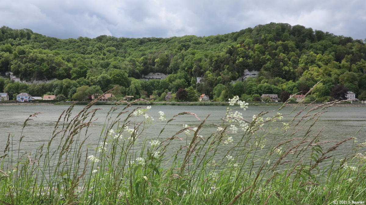 Caumont (Seine 3)