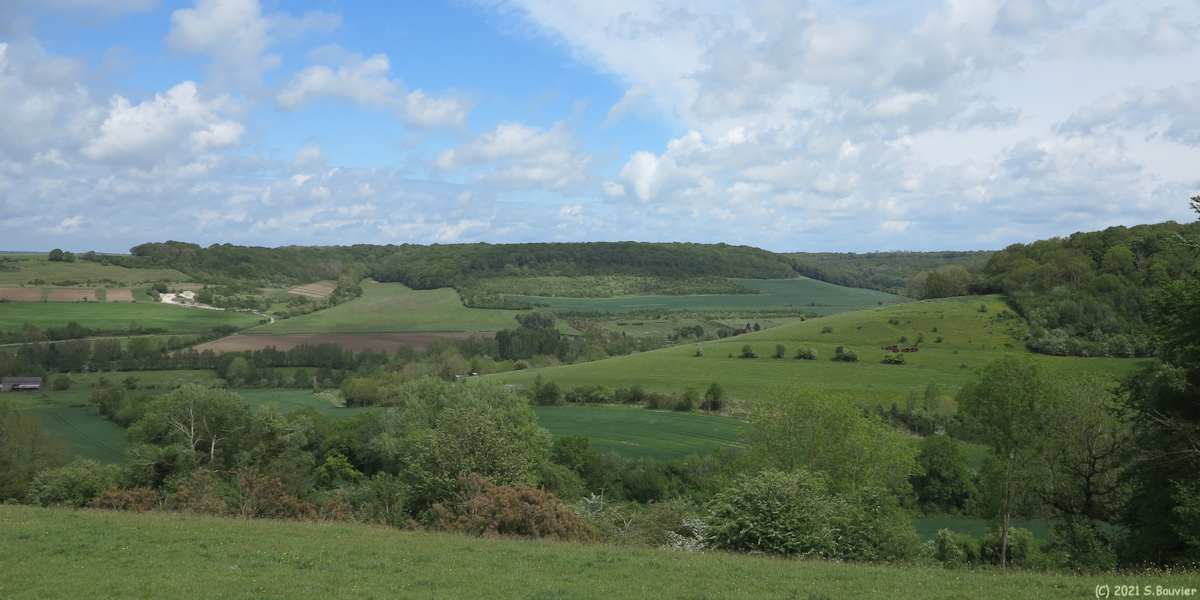 Saint Martin le Gaillard (Vallée)