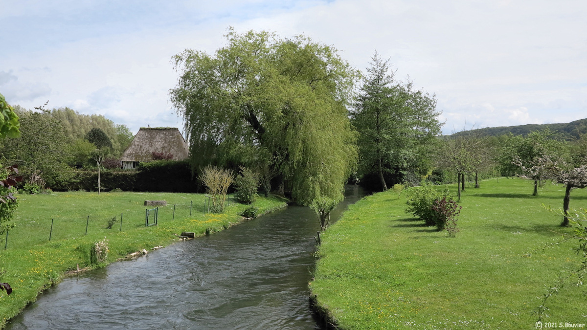 Saint Martin le Gaillard (Yères)