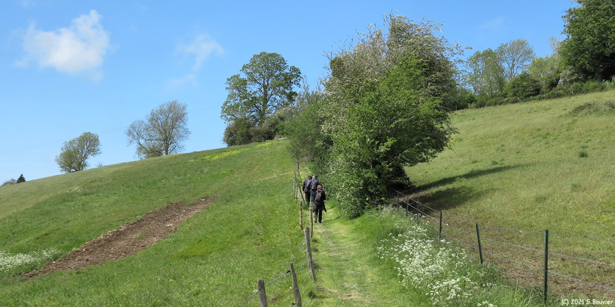 Saint Martin le Gaillard (Chemin 1)
