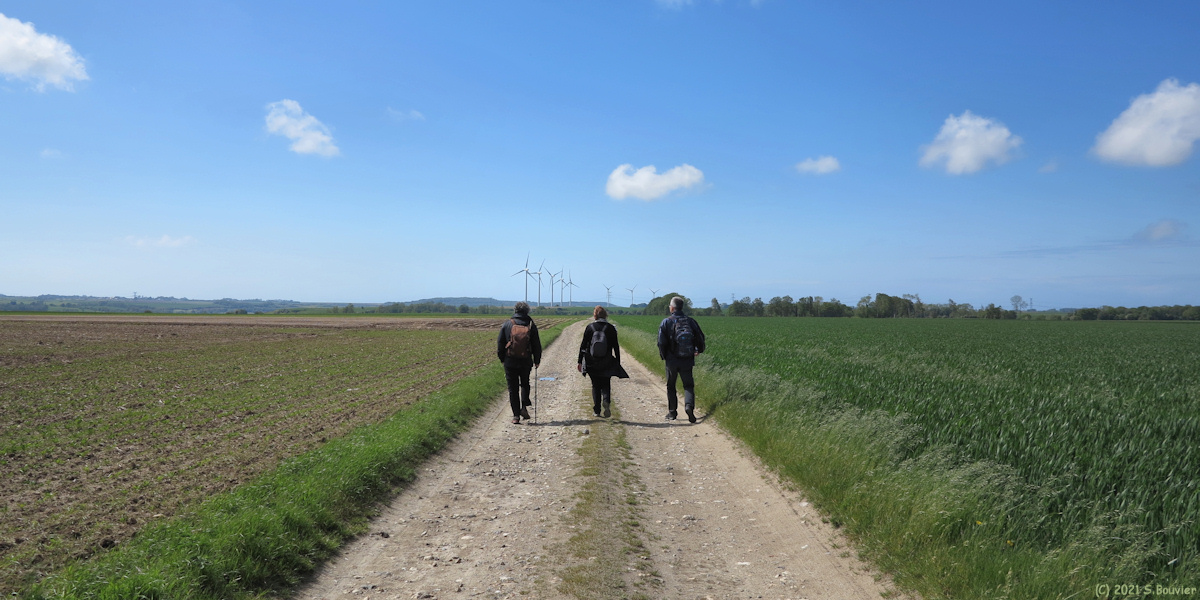 Saint Martin le Gaillard (Chemin 2)