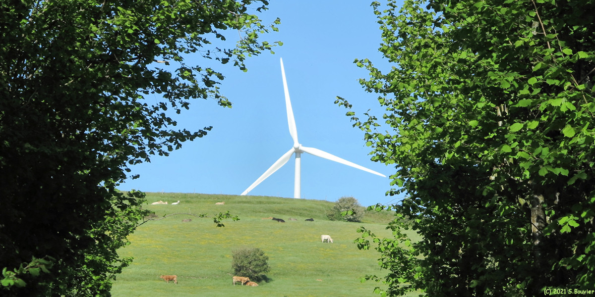 Touffreville sur Eu (Eolienne)