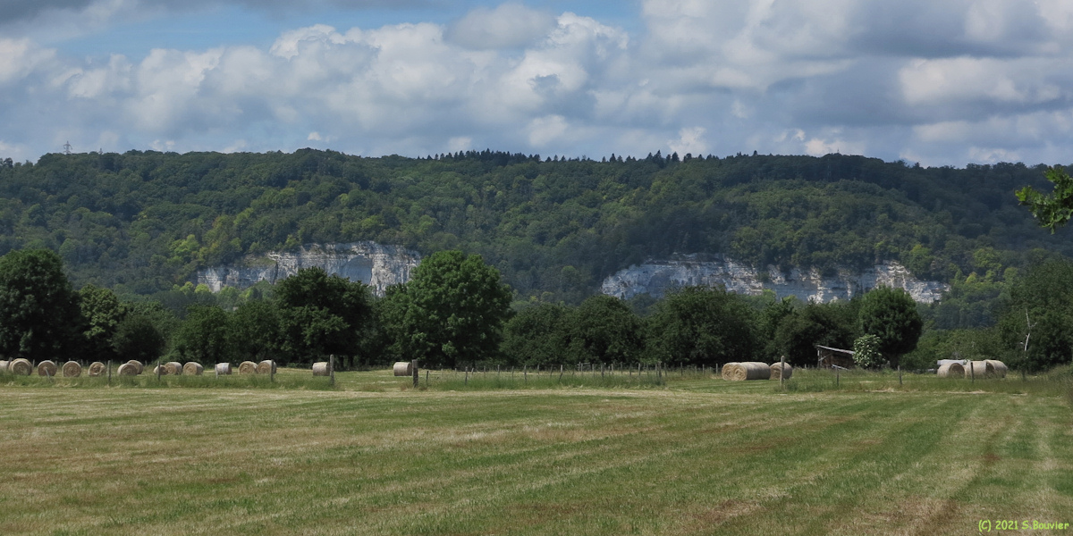 La Mailleraye sur Seine (Falaises)