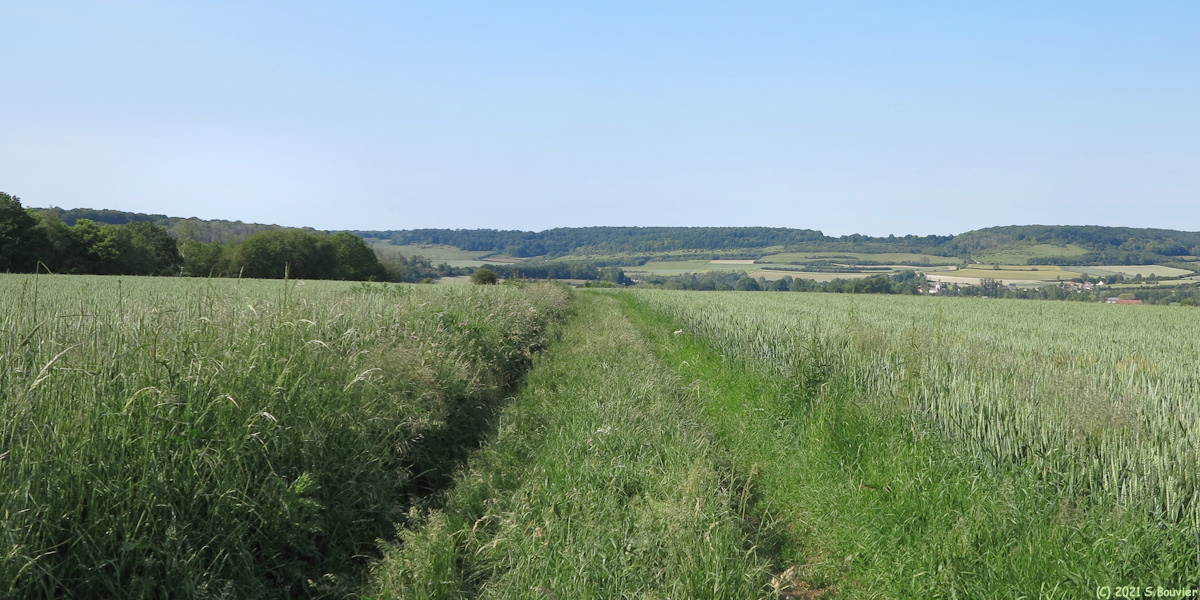 Sept-Meules (Chemin 2)