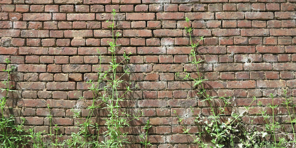 Villy sur Yères (Mur 2)