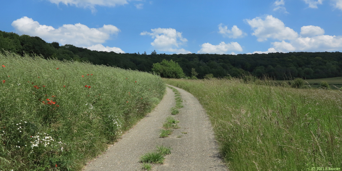 Villy sur Yères (Route 2)