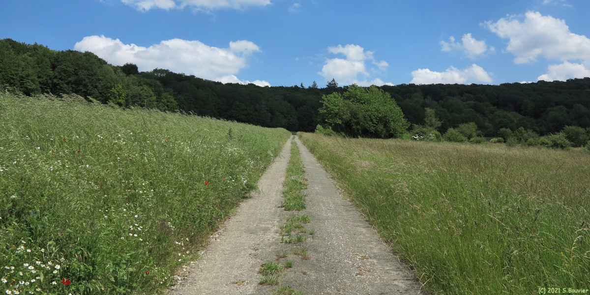 Villy sur Yères (Route 3)