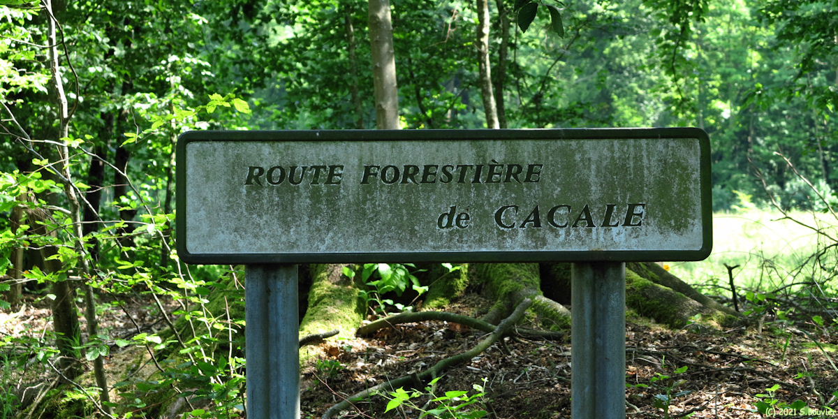 Forêt d'Eu (Panneau)