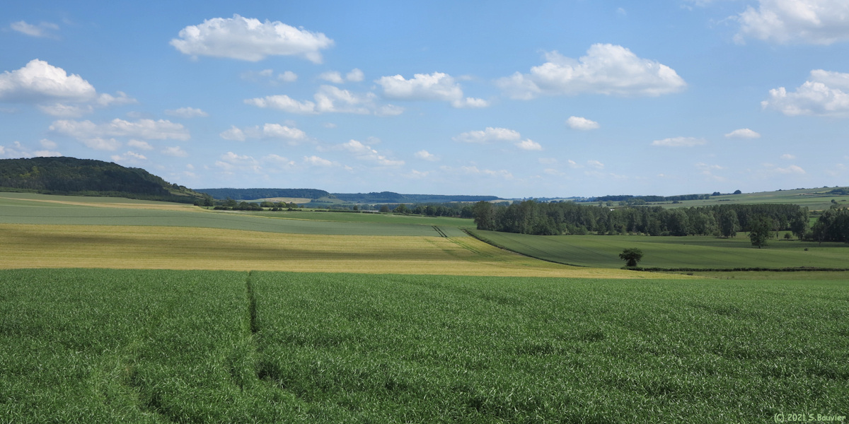 Grandcourt (Vallée 1)