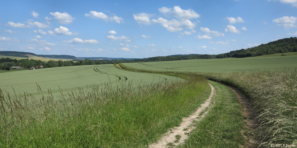 Grandcourt (Chemin)