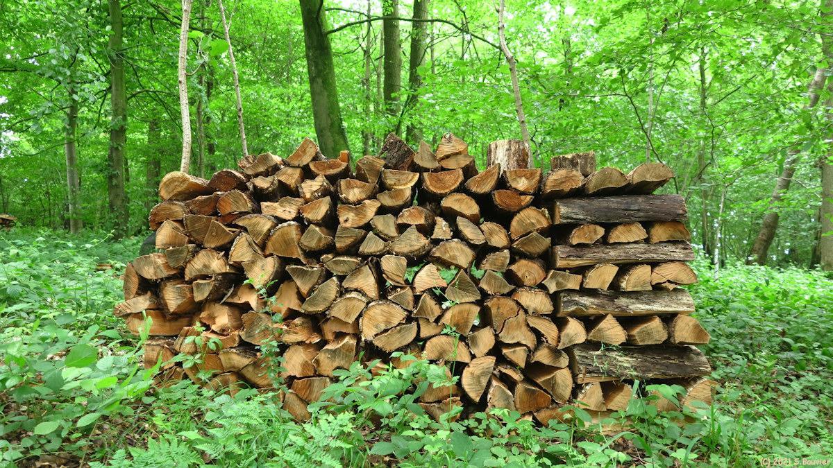 Preuseville (Tas de Bois)