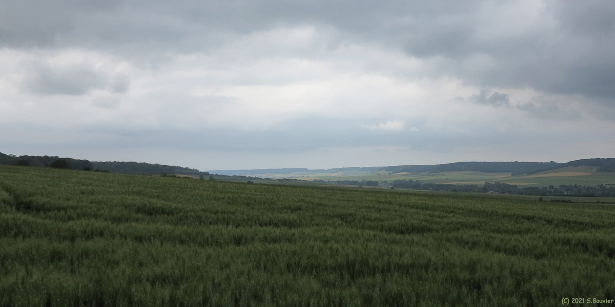 Dancourt (Vallée)