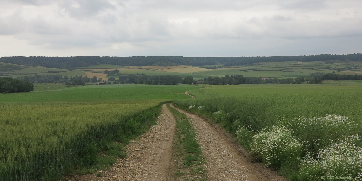 Dancourt (Chemin 1)