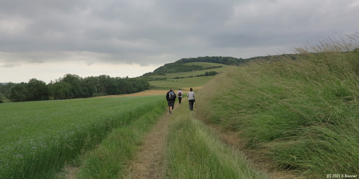 Dancourt (Chemin 2)