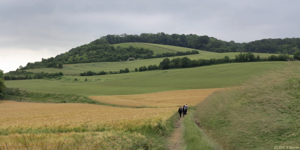 Dancourt (Mont)
