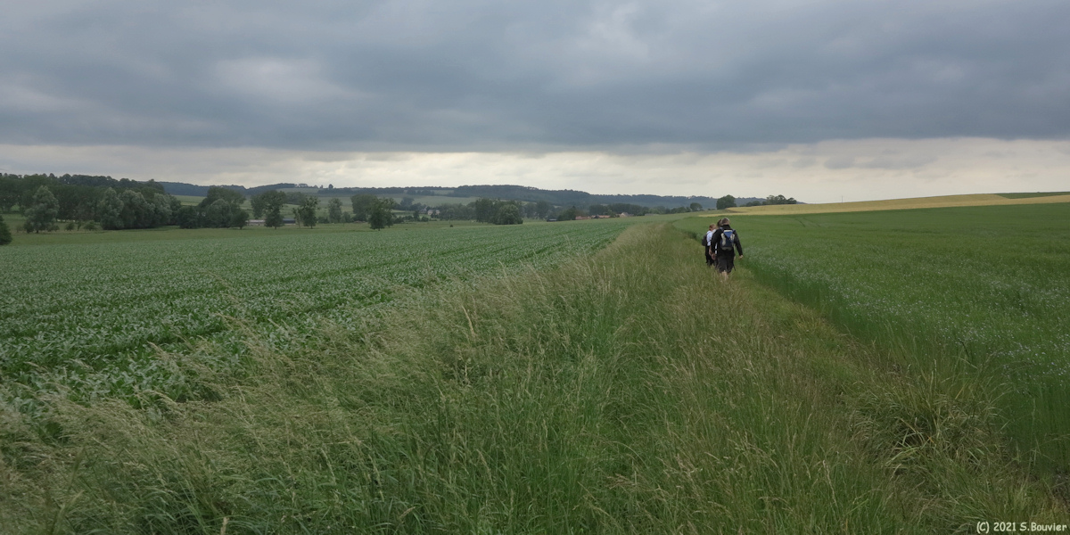Dancourt (Chemin 3)