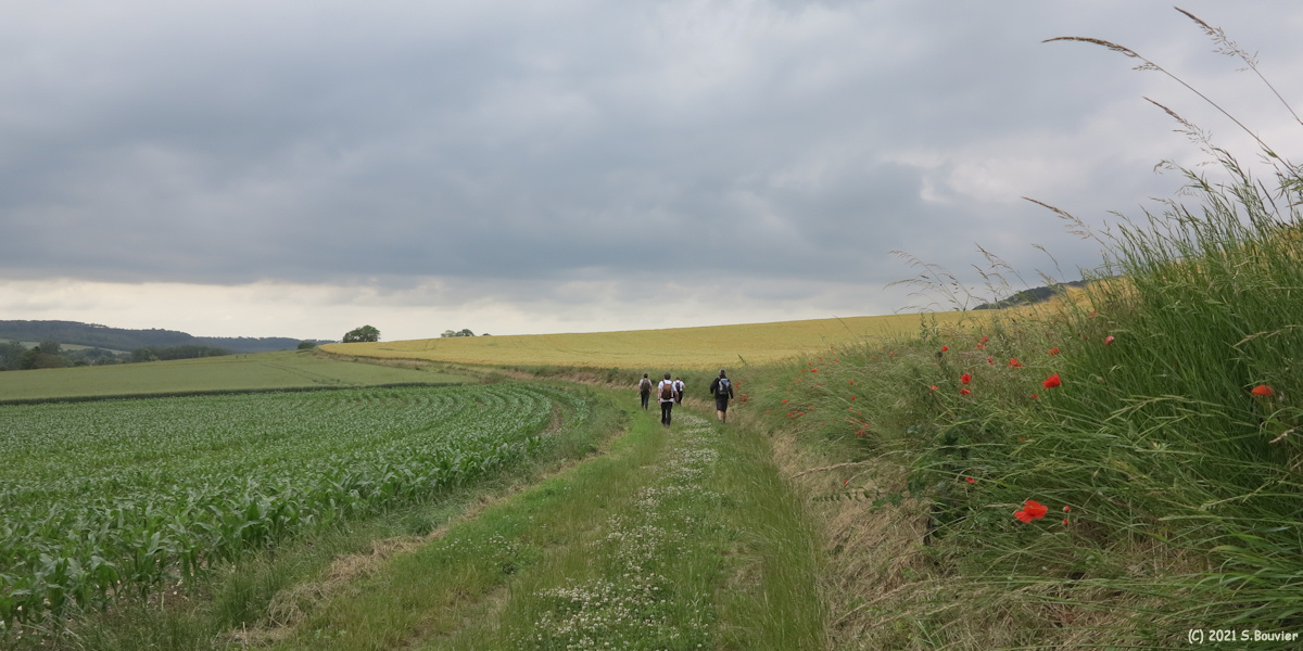 Grandcourt (Chemin 2)