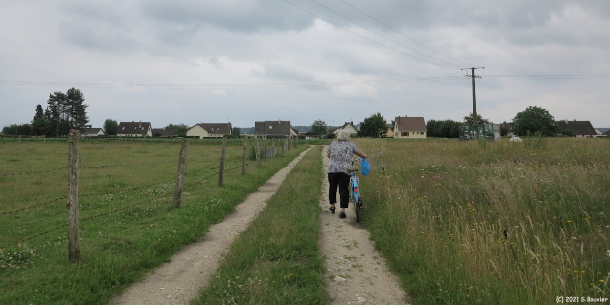Saint Nicolas de Bliquetuit (Chemin 2)