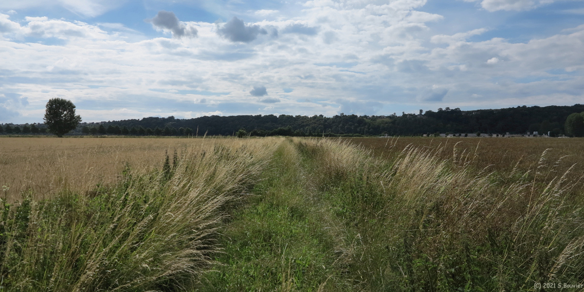 Vatteville la Rue (Chemin 2)