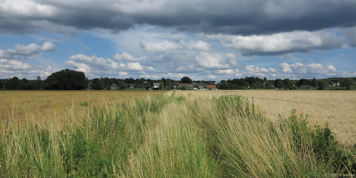 Vatteville la Rue (Chemin 3)