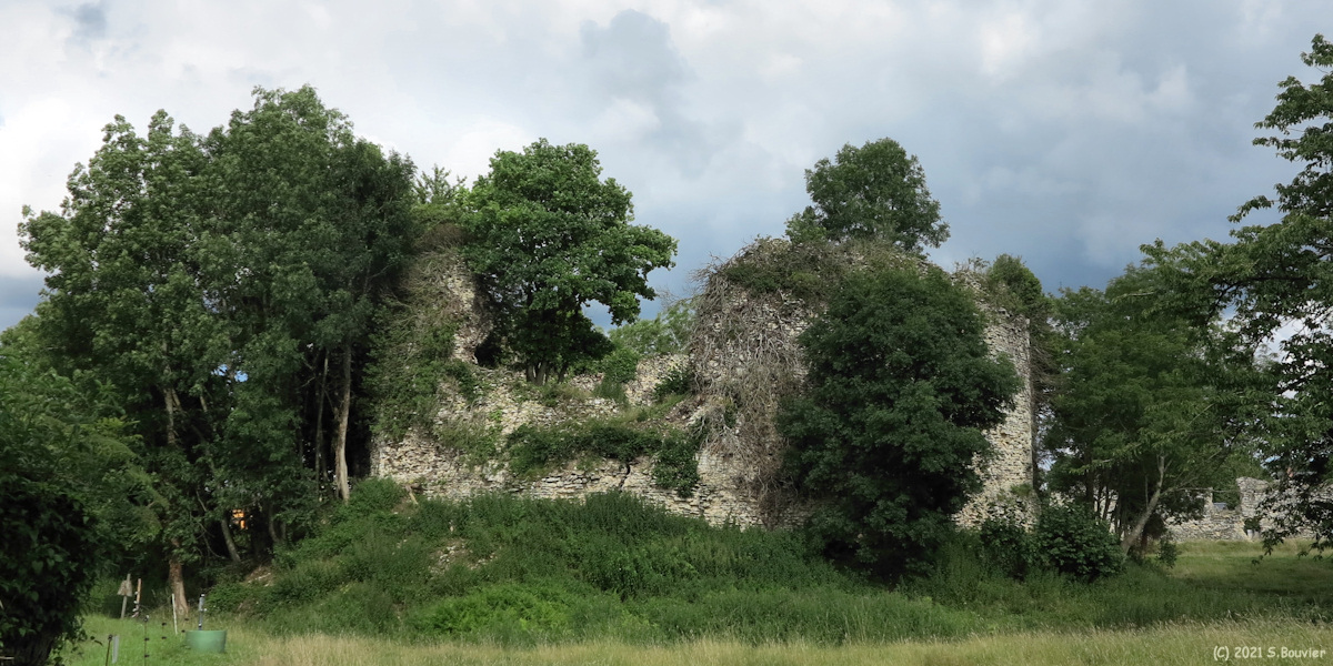 Vatteville la Rue (Ruines 1)