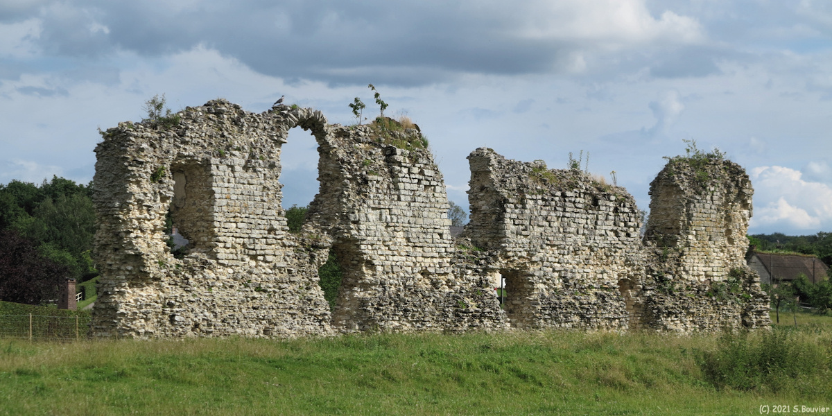 Vatteville la Rue (Ruines 2)