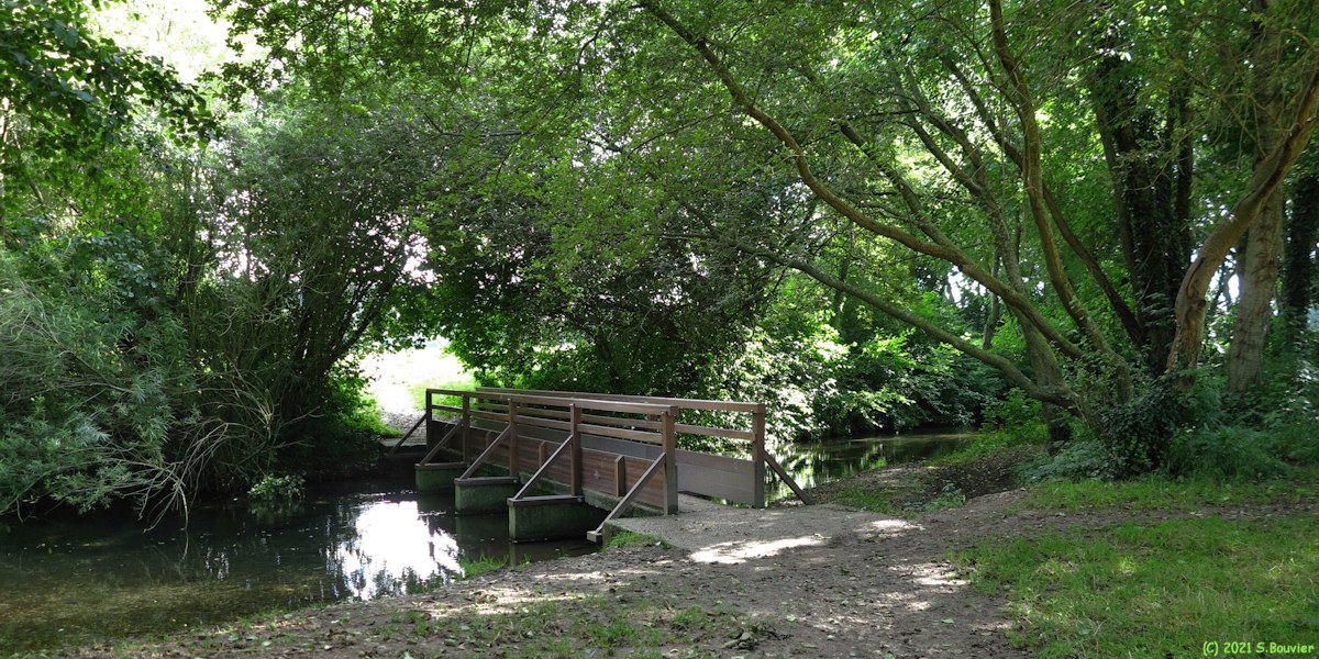 Saint Aubin le Cauf (Passerelle)