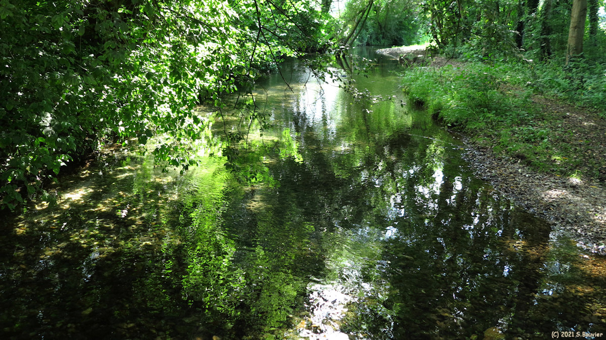 Saint Aubin le Cauf (Ruisseau)