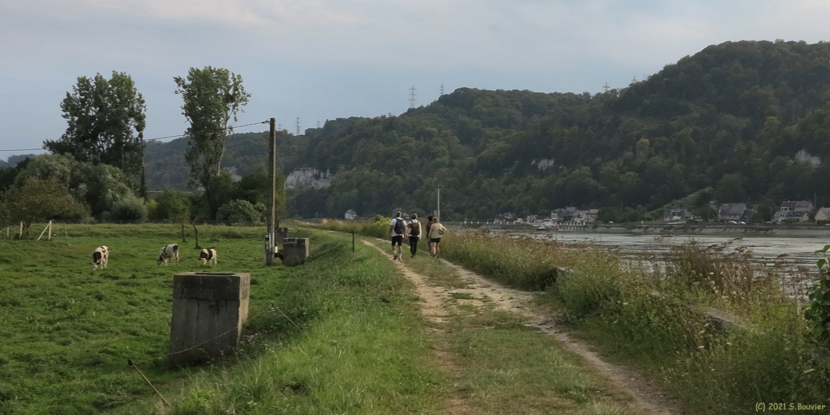 Jumièges (Chemin de Halage)