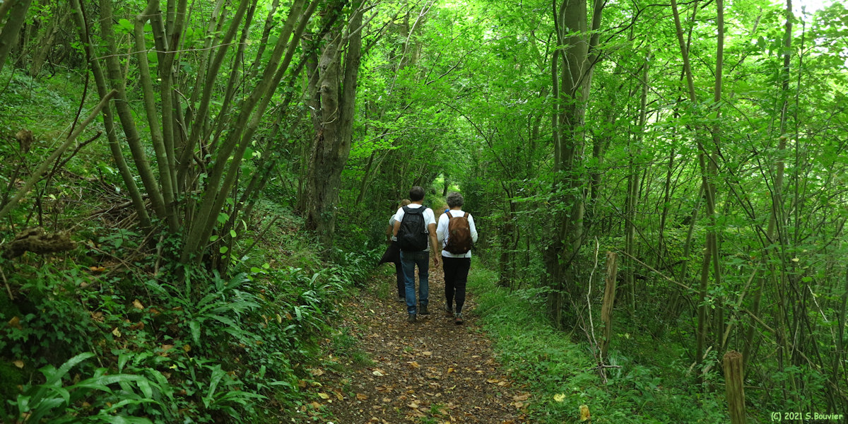 Barneville sur Seine (Chemin)