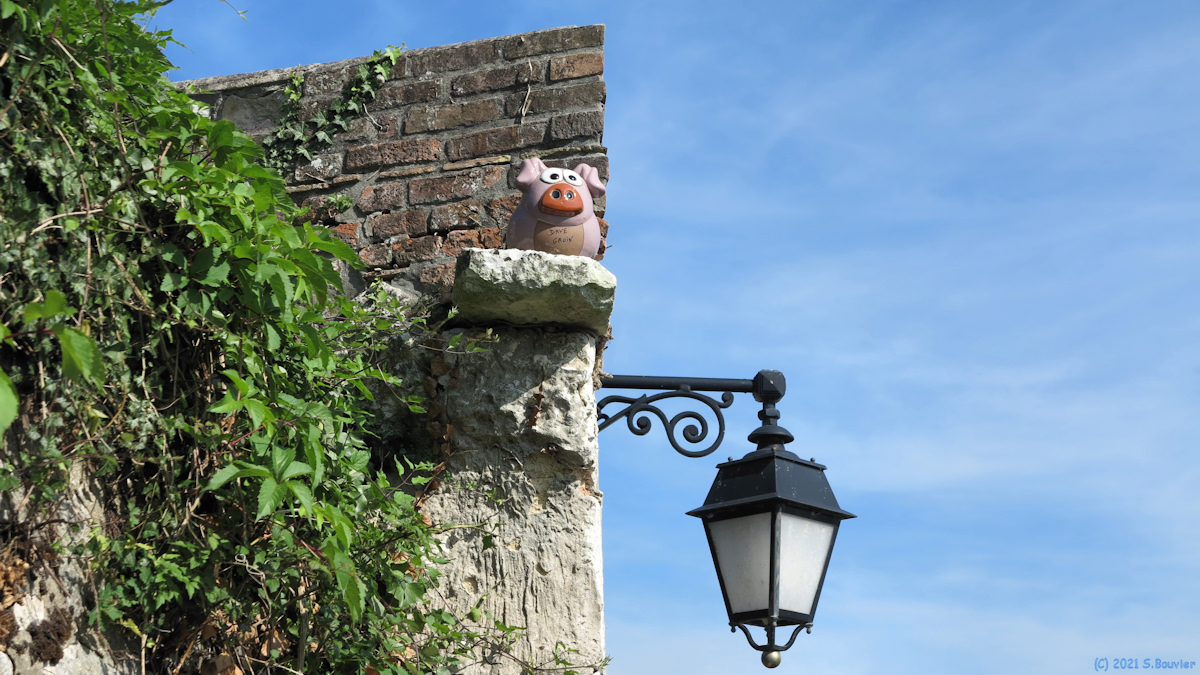 Caudebec en Caux (Cochon)