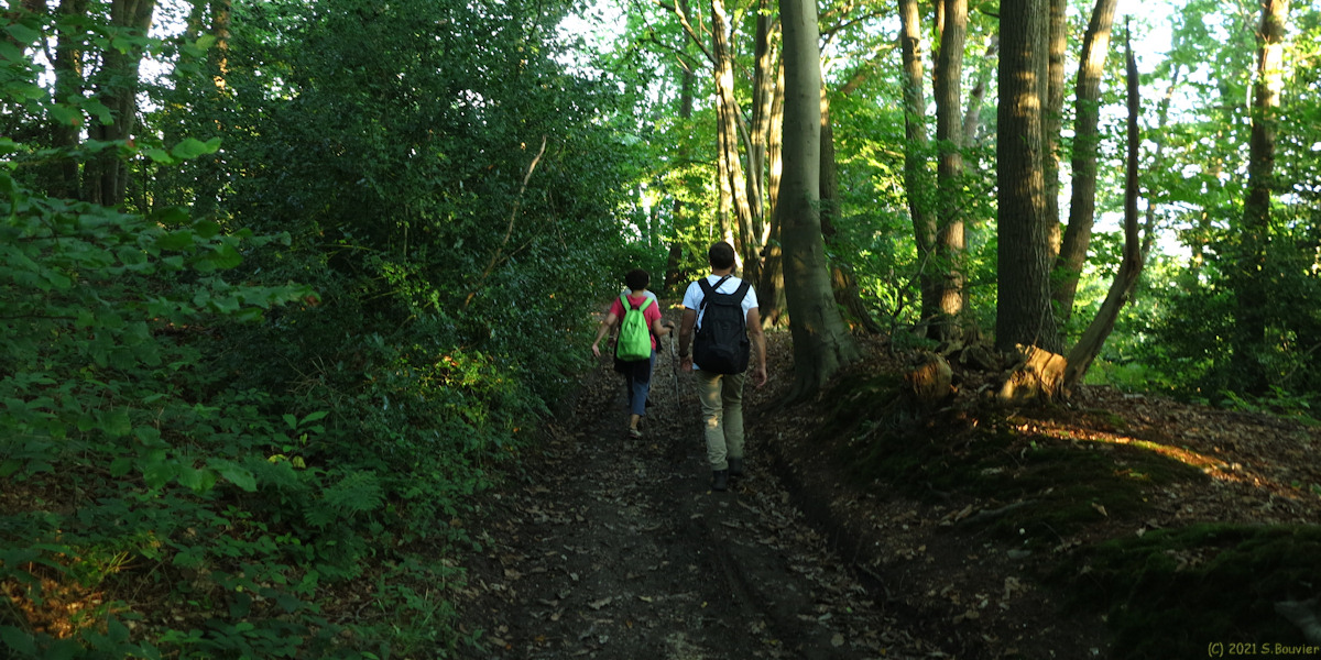 Villequier (Chemin)