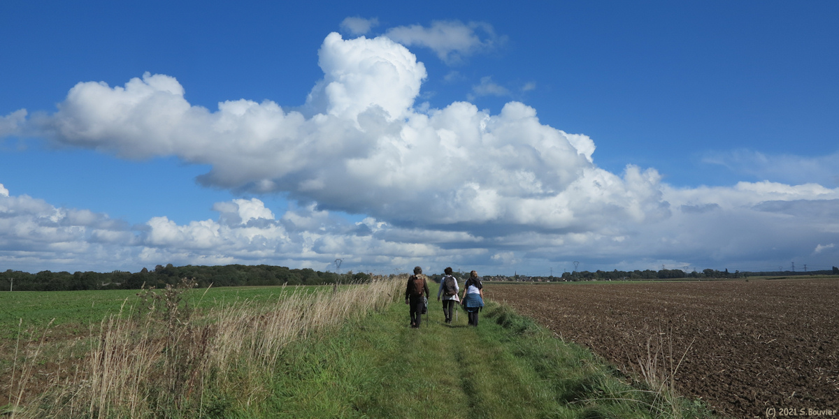 Saint Pierre de Varengeville (Chemin)