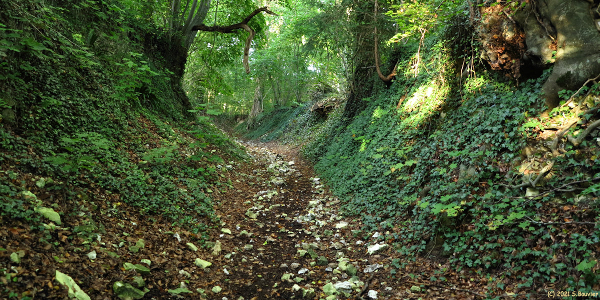 Saint Pierre de Varengeville (Chemin)