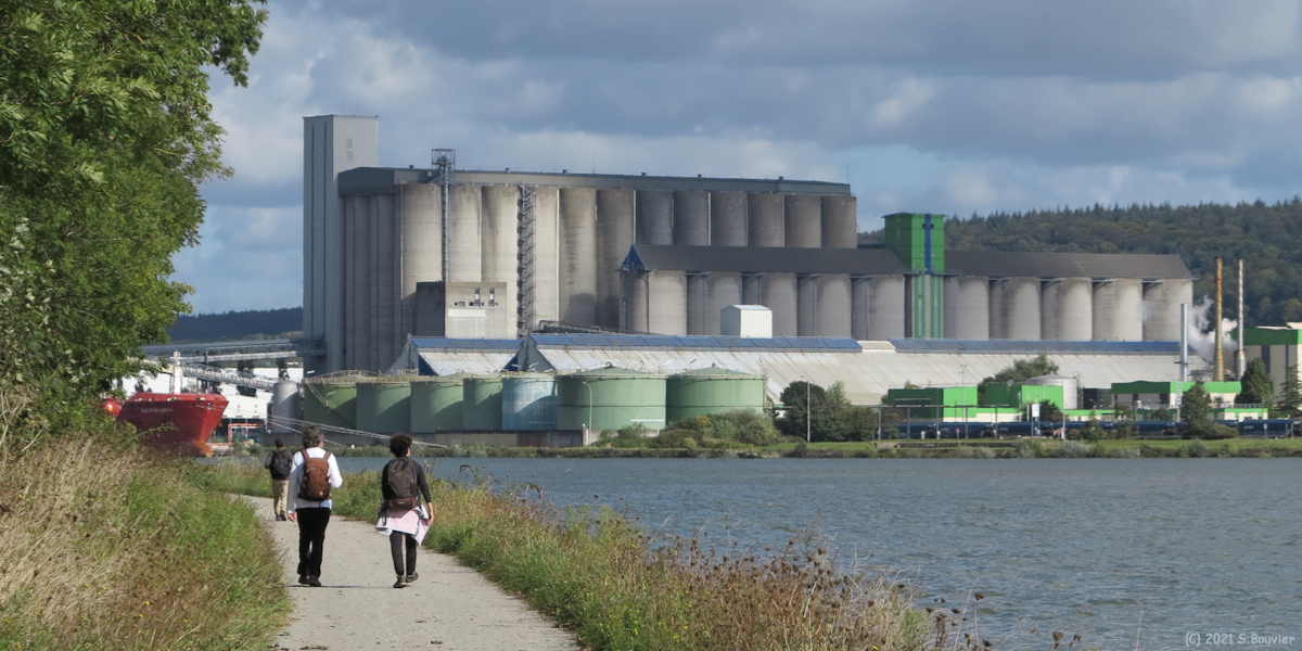 Hautot sur Seine (Chemin 1)