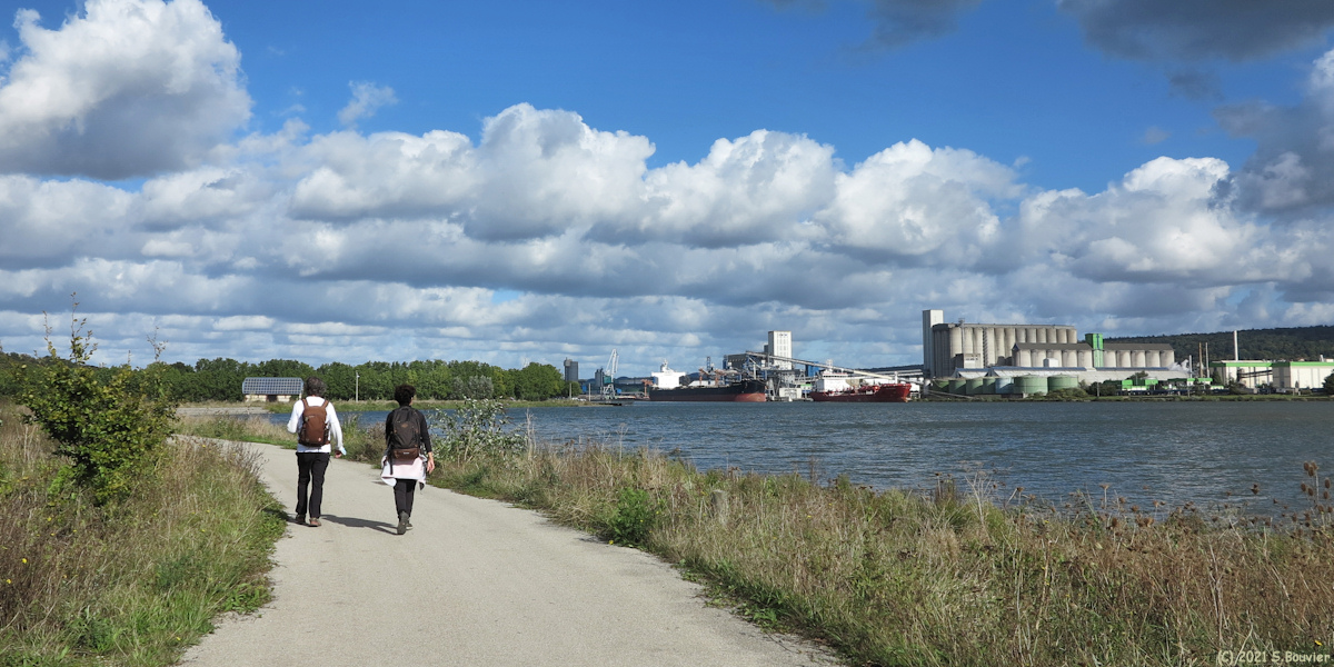 Hautot sur Seine (Chemin 2)