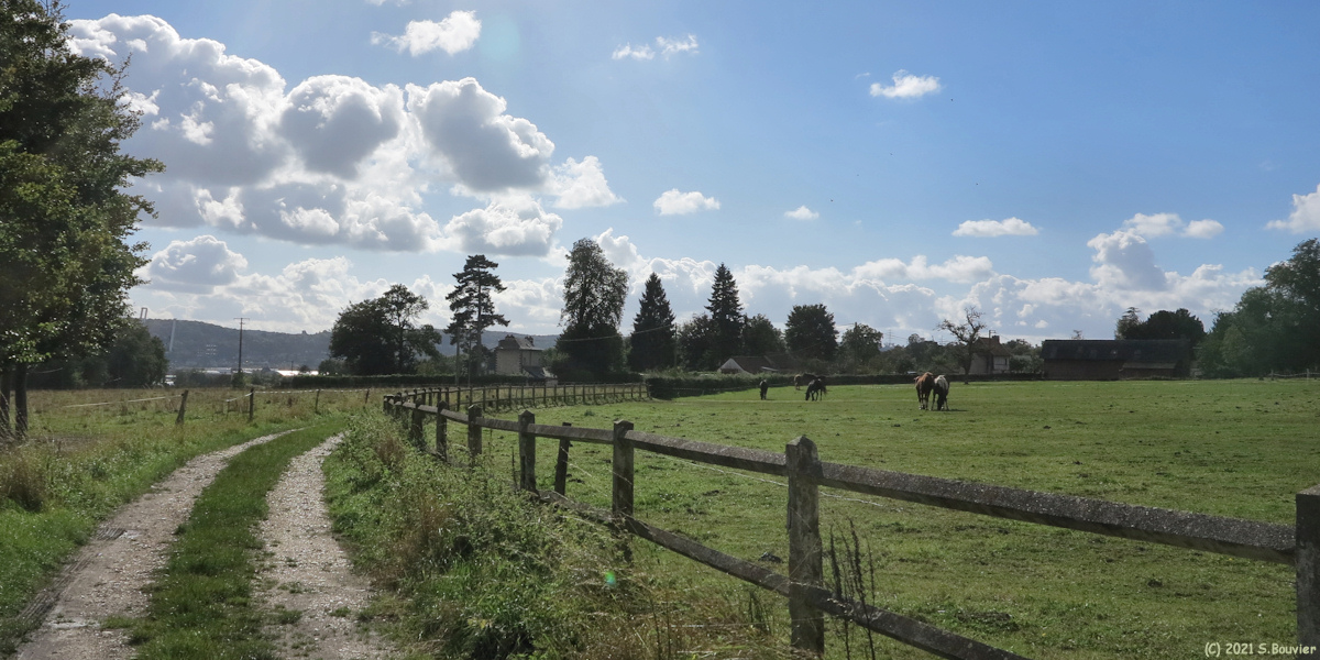 Hautot sur Seine (Chemin)