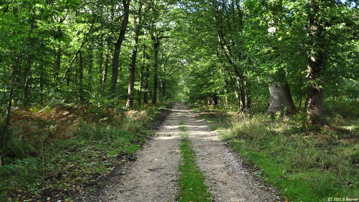 Val de la Haye (Chemin 1)