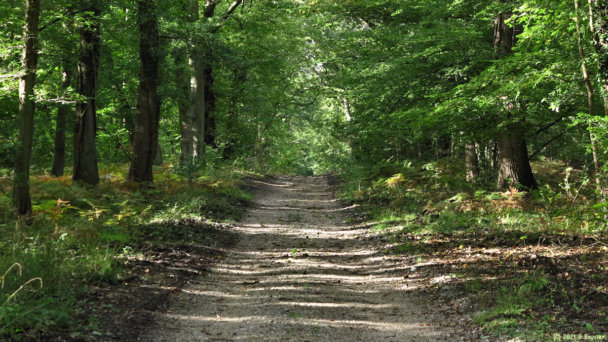 Val de la Haye (Chemin 2)