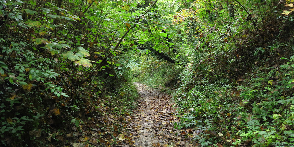 Belbeuf (Chemin 1)