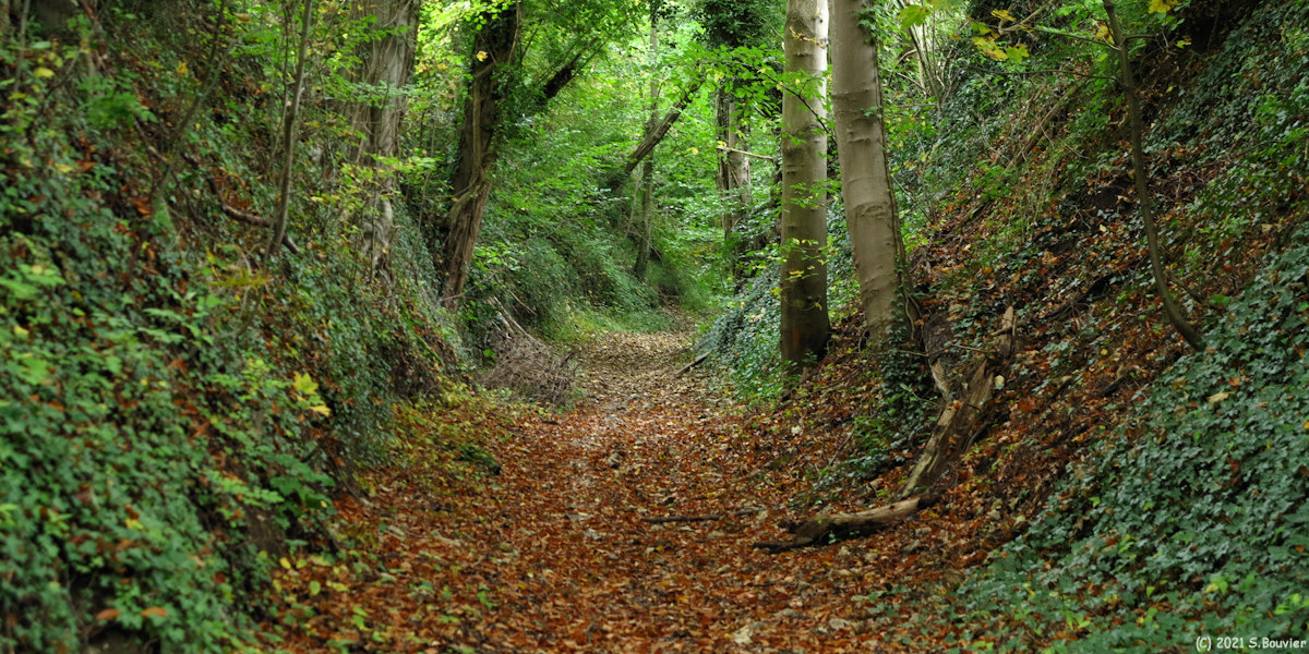 Belbeuf (Chemin 2)