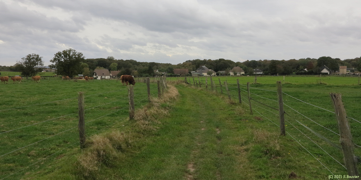Saint Aubin Celloville (Chemin)