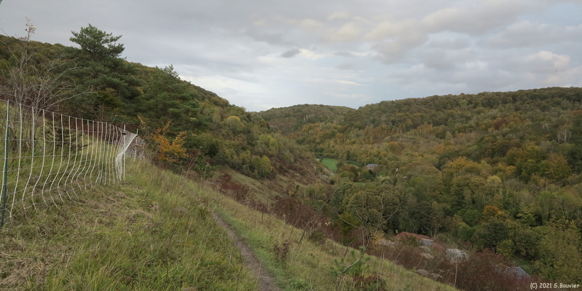 Belbeuf (Vallée)